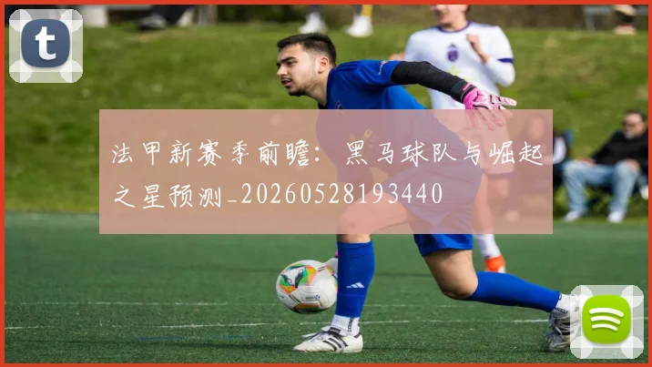 法甲新赛季前瞻：黑马球队与崛起之星预测_20260528193440