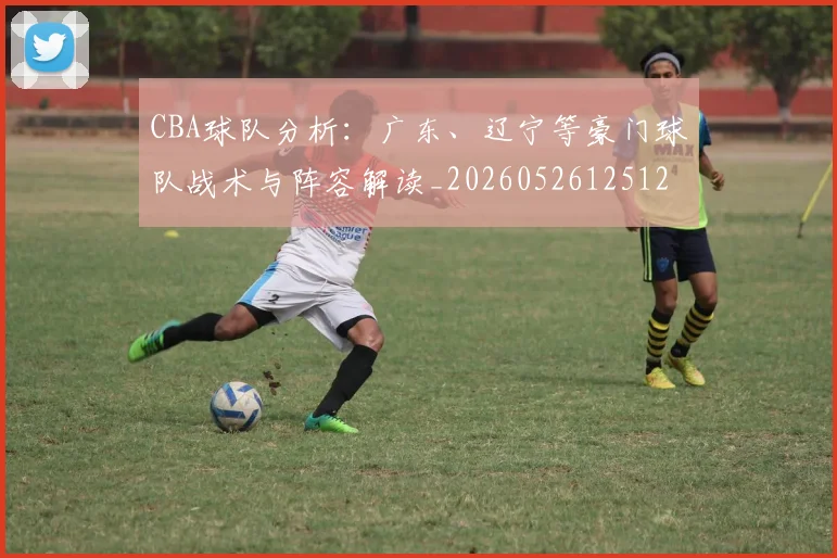 CBA球队分析：广东、辽宁等豪门球队战术与阵容解读_20260526125120_20260606165310